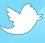 サングラスミュージアムツイッター